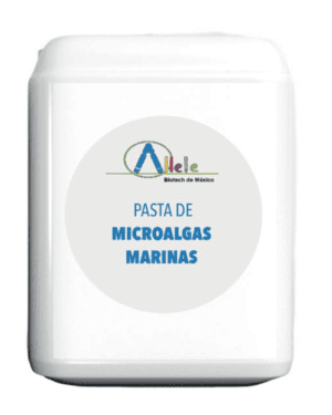 Pasta de microalgas